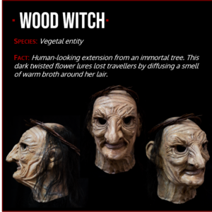 wood_witch_mask_1