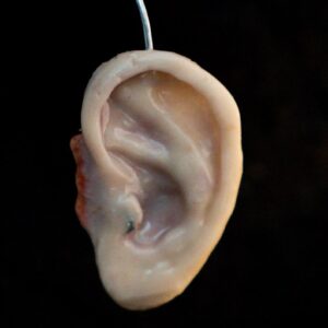 silicone_props_ear